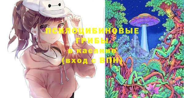молекула духа Сковородино