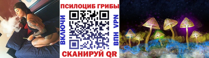 Псилоцибиновые грибы Magic Shrooms  KRAKEN ТОР  Снежногорск  где купить наркоту 